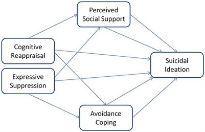 Emotional regulation and suicidal ideation—Mediating roles of perceived social support and avoidant coping
